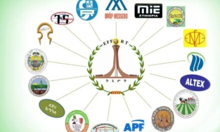 Ethiopia: Federal Court Lifts Ban on 21 TPLF Companies