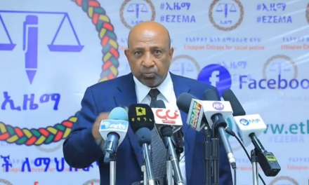 Ethiopia: ESCJ Criticizes Inconsistency in Handling of Security Matters