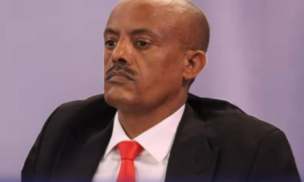 Amhara Regional Council Appoints New President Amidst State of Emergency