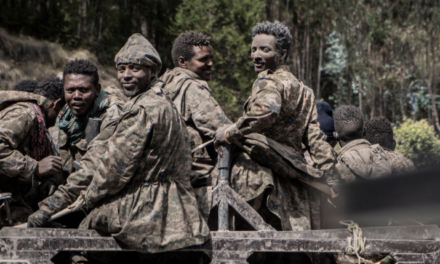 Ethiopia: Army Warns Fano Resistance Amid Setbacks