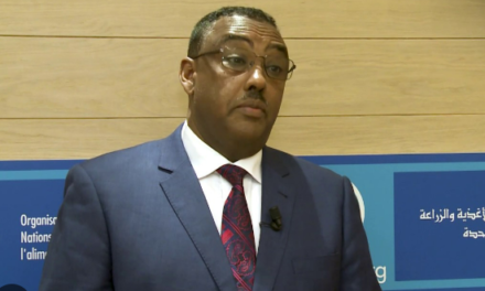 Ethiopian Deputy PM Calls for Calm As Unrest Worsens in Amhara Region
