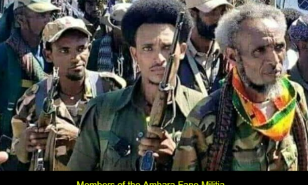Ethiopia: Clashes between Army, Fano Militia Escalating