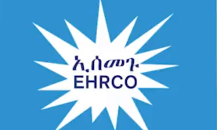 Ethiopia: Rights Group Calls for Government Accountability. Protection of Rights