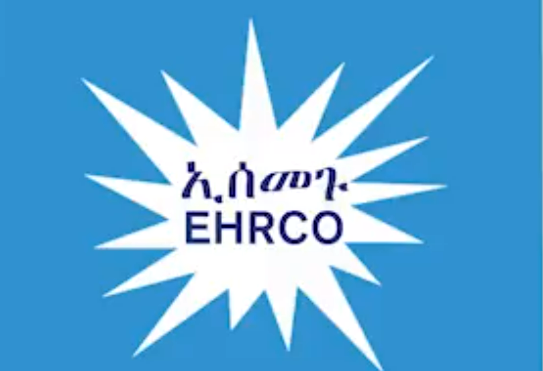 Ethiopia: Rights Group Calls for Government Accountability. Protection of Rights