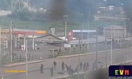 Ethiopia: Shocking Video of Point-blank Executions of Civilians Spark Outrage