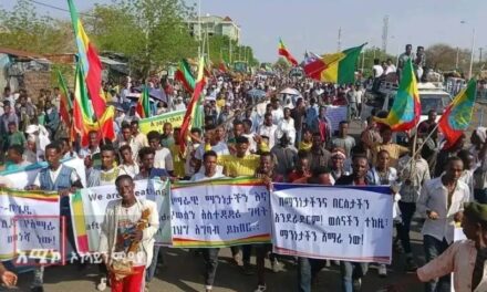 Ethiopia: Tigray’s Interim Administrator Still Hoping for Return of ‘Disputed’ Areas