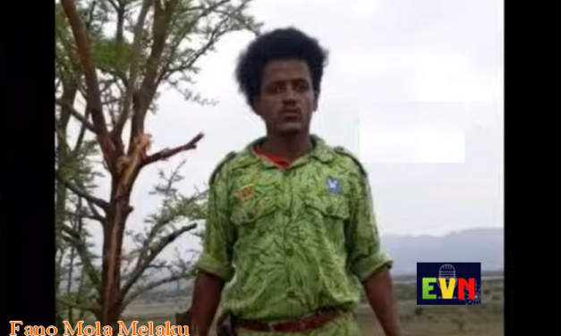 Escalating Violence Continues to Claim Civilian Lives in Amhara Region