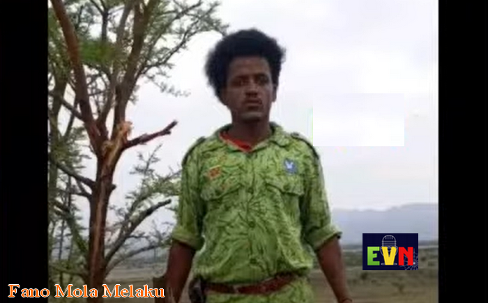 Escalating Violence Continues to Claim Civilian Lives in Amhara Region